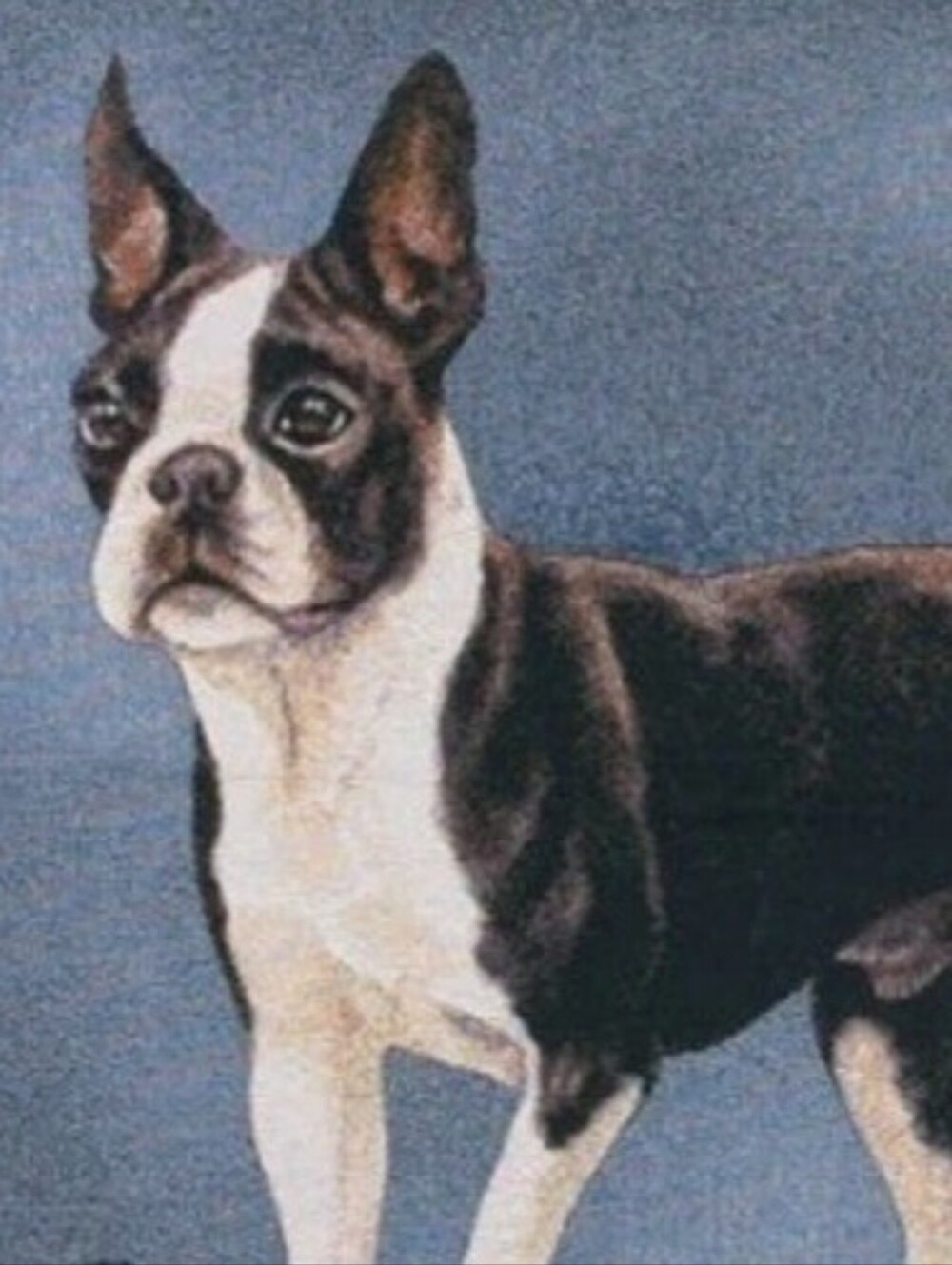Vintage Linda Picken Boston Terrier Woven Tapestry Afghan Throw Blanket Fringe